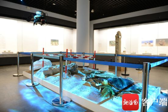 来自海南省博物馆的“涨海推舟 千帆竞渡――南海水下文化遗产大展”在青岛市博物馆展出。海南省博物馆供图