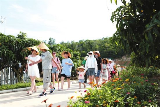 游客在三亚一热带水果基地，参观果园、体验采摘乐趣、了解热带水果种植。 李学仕 摄