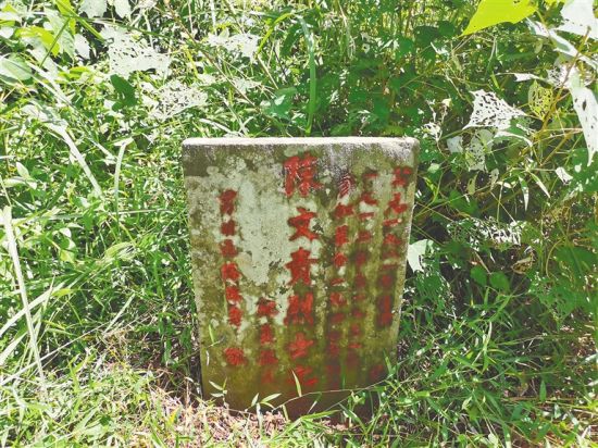 陈文贵烈士墓也在龙护村里，离他家祖屋仅几百米远。