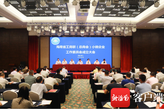 海南省工商联(总商会)小微企业工作委员会成立大会。记者 姚皓 摄