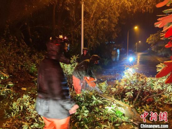 10月8日晚，海南琼海嘉积镇有大树被狂风刮倒堵塞公路，当地消防员及时清除路障。王立夫 供图
