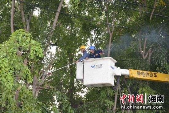 三亚供电局配电中心工作人员利用带电作业车对配网线路树障进行清理。刘昌 摄