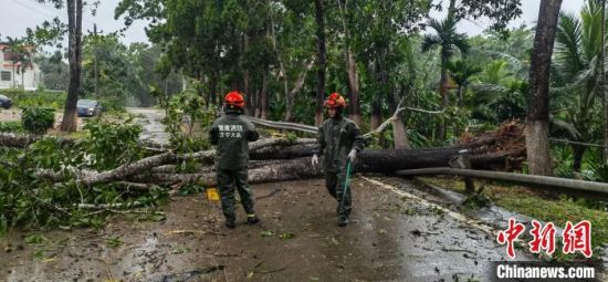 13日，海南万宁消防救援部门在道路上清理被台风“圆规”吹倒的树木。万宁消防供图