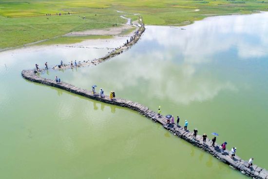 　　资料图：古蛇桥成为游客游玩踏青的网红打卡地。图片来源：人民日报