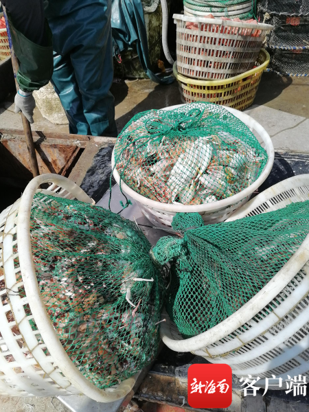 　非法渔获物。