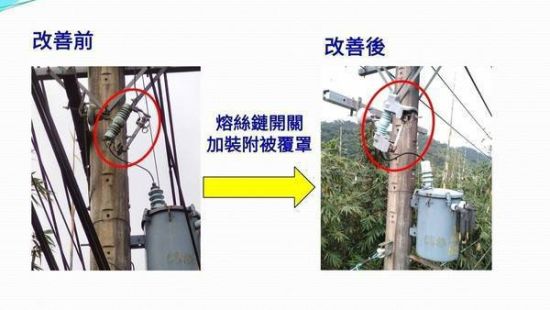 台电为防连接太阳能光电的电桶鸟误闯，或在电桶筑巢，在电桶熔丝链开关，加装“附被覆罩”改善。 图片来源：台湾《联合报》