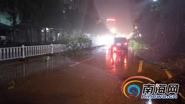 台风银河登陆 海南万宁市区多处树木被吹倒