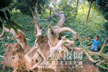 三门坡人口_人口普查(2)