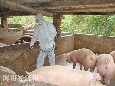 各级畜牧兽医站防控H1N1流感