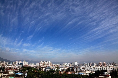 福州天空出现大片毛卷云