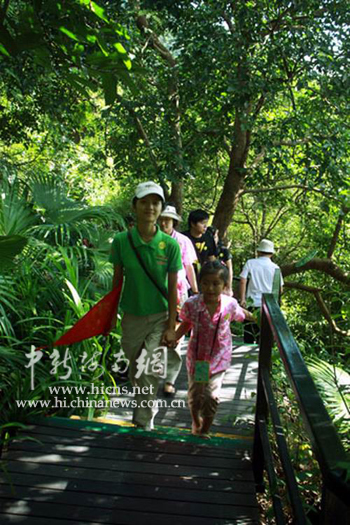 三亚羊栏回族学生畅游呀诺达热带雨林景区