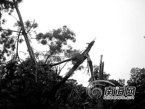 强风突袭临高多文镇 3龄童险被卷走81房屋受损