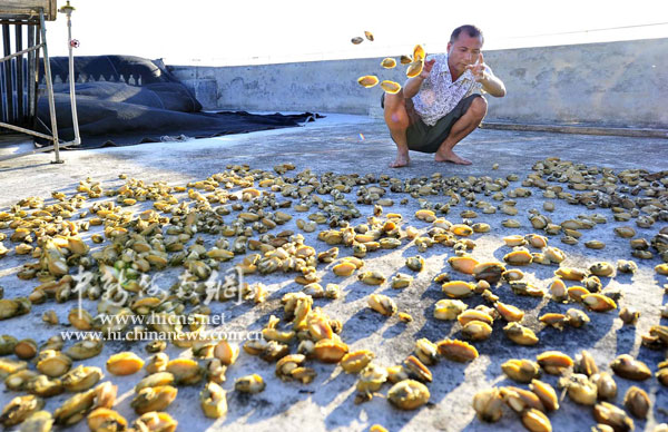 琼海潭门渔民:黄岩岛是我们世代捕鱼的地方