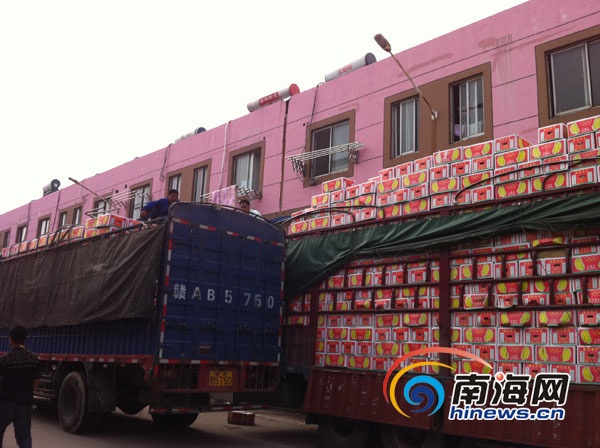 海南东方市组团赴南昌卖香蕉 现场签约9300万