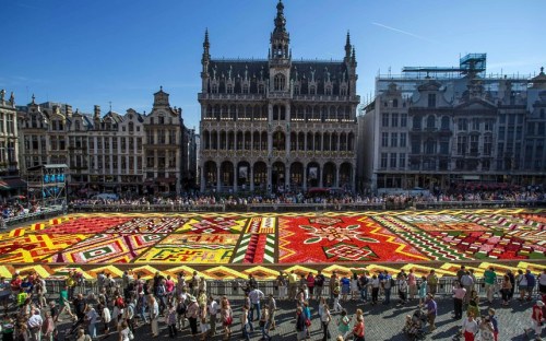 比利时首都现鲜花地毯