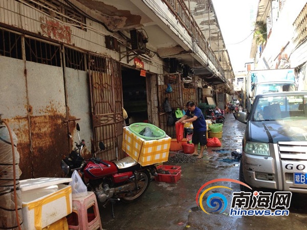 三亚鸿港海鲜市场_三亚海鲜市场_塘沽海鲜市场