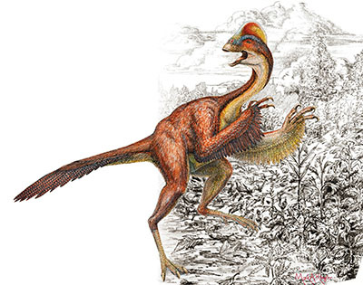 科学家发现新品种恐龙 被称地狱来的鸡(图)