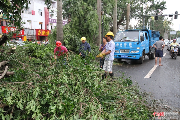 7月19日上午，海口市林业部门正在清理机动车道上的树木，让交通能更快畅通。邓奥赛 摄