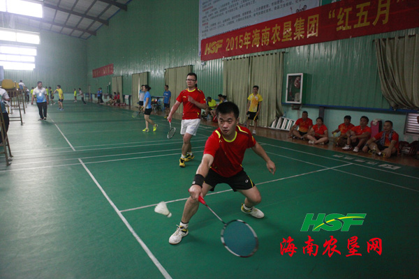 海南省农垦集团红五月羽毛球赛完美收拍