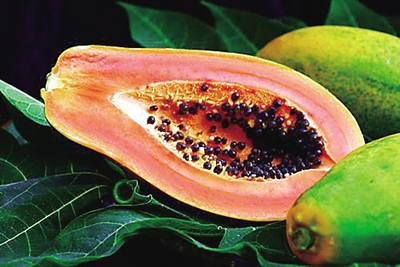 3000亩儋州木瓜陆续成熟结金瓜