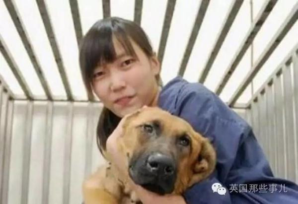台湾女孩服用狗安乐死药物自杀身亡