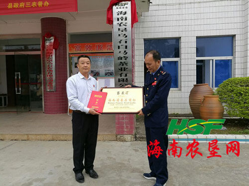 乌石 白马岭 茶商标认定为海南省著名商标(图)