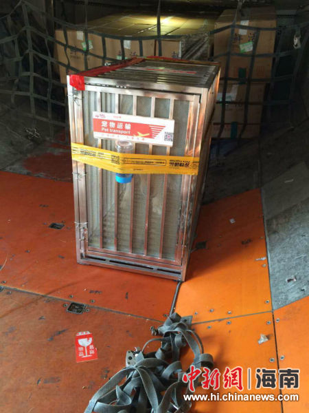 宽松舒适的货舱空间