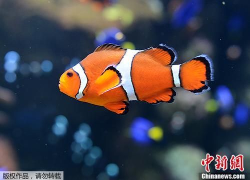 U57P16T1D507967F8DT20191129154600.jpg