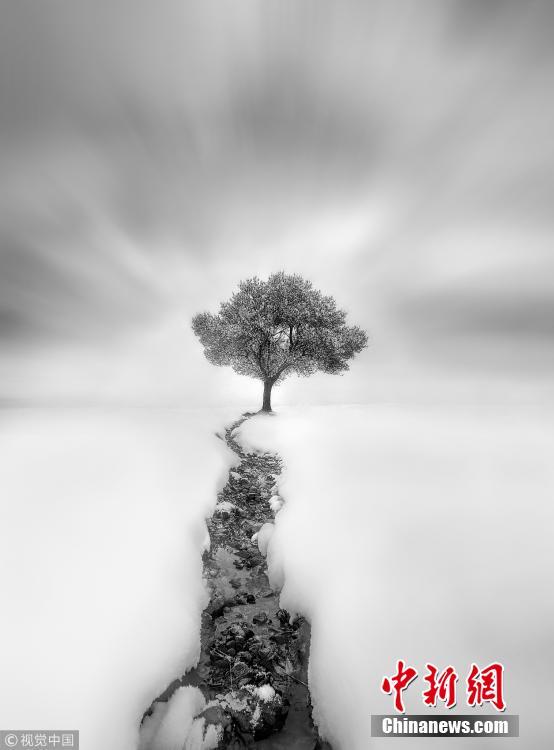 摄影作品精选图片 U58P16T10D88568F258DT20180321161341.jpg