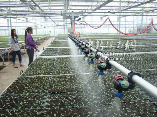海南现代农业展示示范园感受农业科技魅力