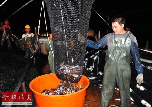 中国渔船组队赴南沙捕鱼 今后将成常态[图]