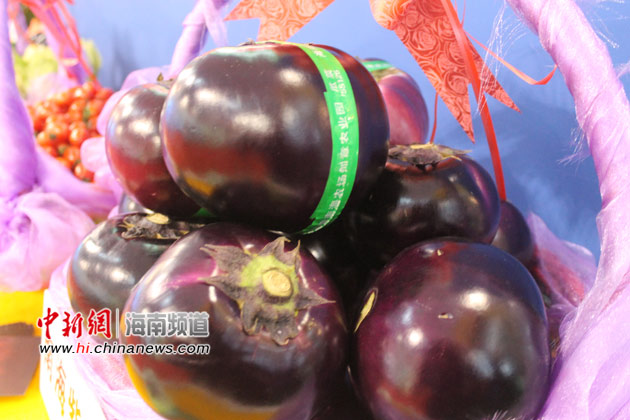 2012海南冬交会展馆中瓜果菜新品种新奇多样
